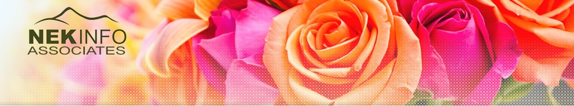 Portfolio-OahuWedding-header
